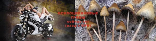 кокаин VHQ Корсаков