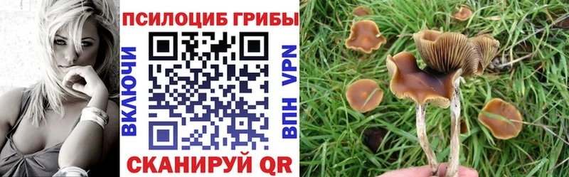 маркетплейс формула Лангепас Галлюциногенные грибы прущие грибы